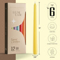 Leor & Lair Spring Taper Candles - 10 Inch